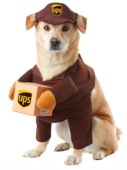 UPS Pup Halloween costume
