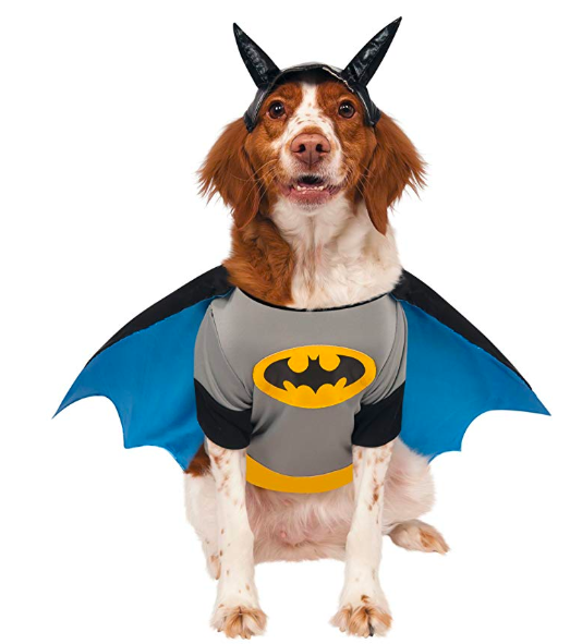 Batman Halloween costume