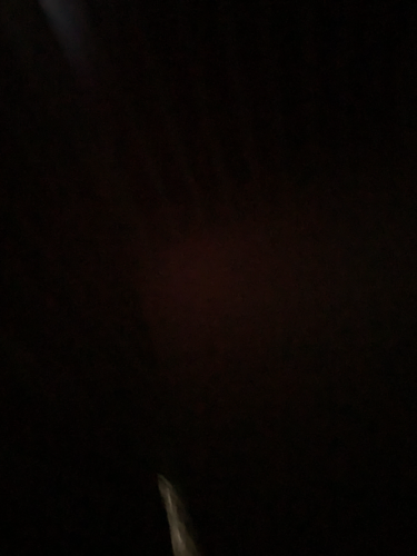 Picture taken inside the slumberpod, showing how dark it gets.