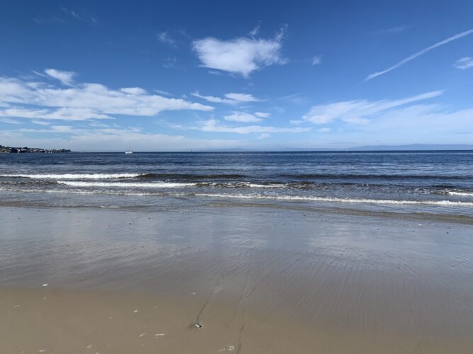 Picture of the beach near the Hyatt Regency Monterey.