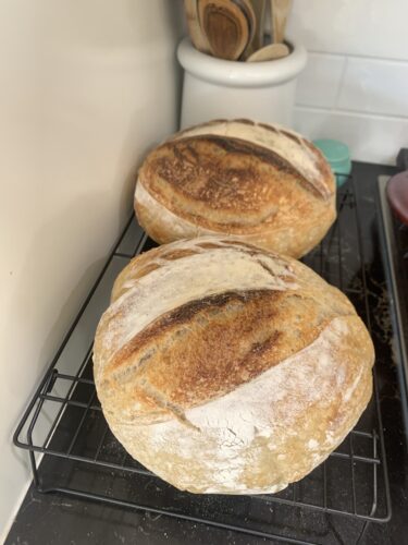 Sourdough Loaves from Tramontina from Costco and the Le Creuset Dutch Oven
